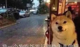 娱乐圈新剧爆料文案,新剧爆料揭秘幕后真相