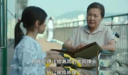 素媛电影在线观看,一场关于爱与救赎的感人之旅